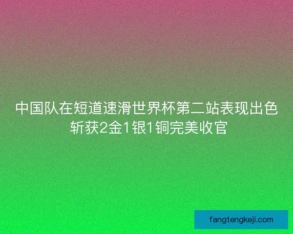 中国队在短道速滑世界杯第二站表现出色 斩获2金1银1铜完美收官