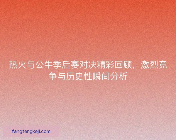 热火与公牛季后赛对决精彩回顾，激烈竞争与历史性瞬间分析